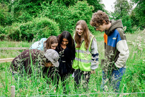 University of York, United Kingdom	 image #1