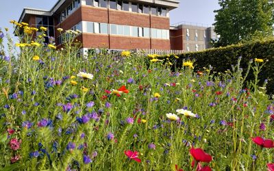 University of the West of England