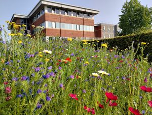 University of the West of England image #1