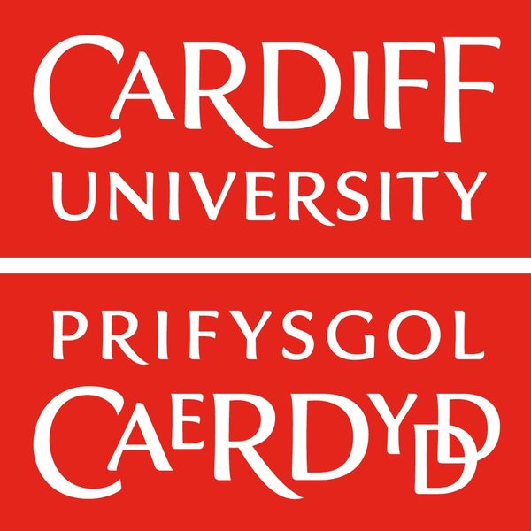 Cardiff University image #1