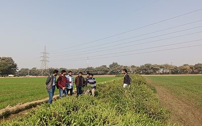 Muhammad Nawaz Shareef University of Agriculture, Multan, Pakistan