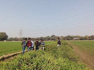 Muhammad Nawaz Shareef University of Agriculture, Multan, Pakistan image #1